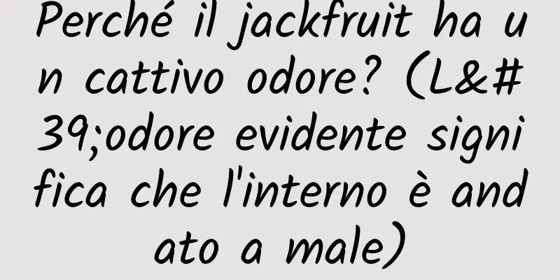 Perché il jackfruit ha un cattivo odore? (L'odore evidente significa che l'interno è andato a male)