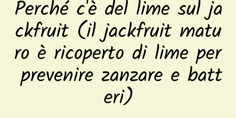 Perché c'è del lime sul jackfruit (il jackfruit maturo è ricoperto di lime per prevenire zanzare e batteri)