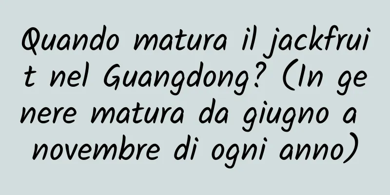 Quando matura il jackfruit nel Guangdong? (In genere matura da giugno a novembre di ogni anno)
