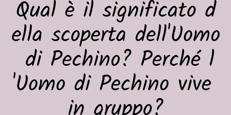 Qual è il significato della scoperta dell'Uomo di Pechino? Perché l'Uomo di Pechino vive in gruppo?