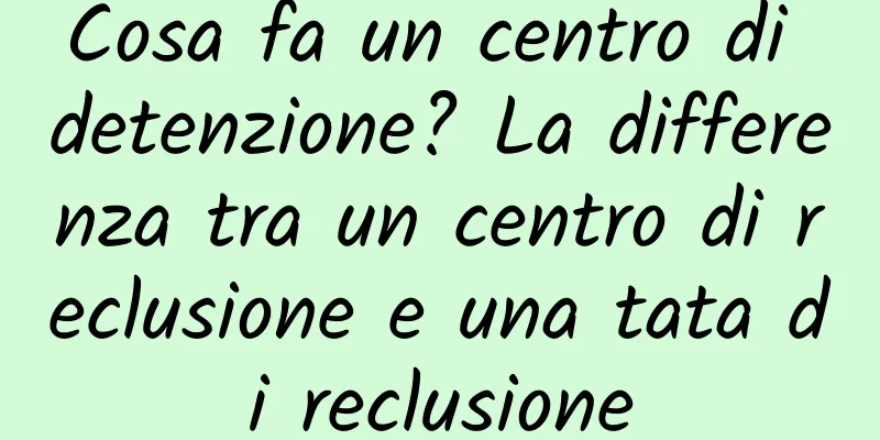 Cosa fa un centro di detenzione? La differenza tra un centro di reclusione e una tata di reclusione