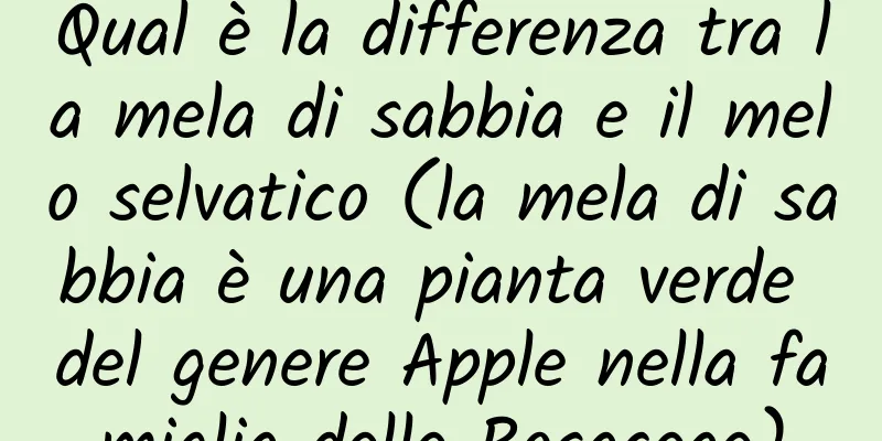Qual è la differenza tra la mela di sabbia e il melo selvatico (la mela di sabbia è una pianta verde del genere Apple nella famiglia delle Rosaceae)