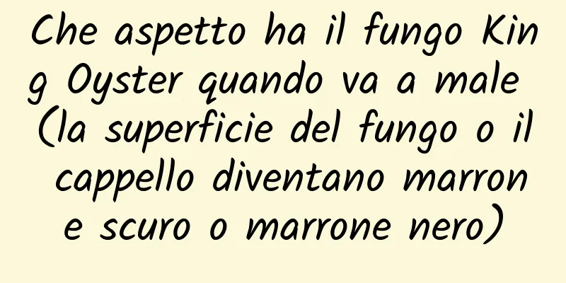 Che aspetto ha il fungo King Oyster quando va a male (la superficie del fungo o il cappello diventano marrone scuro o marrone nero)