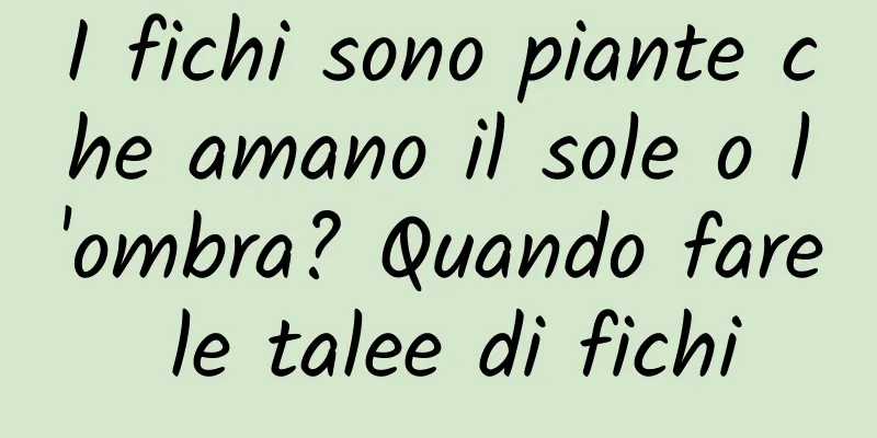 I fichi sono piante che amano il sole o l'ombra? Quando fare le talee di fichi