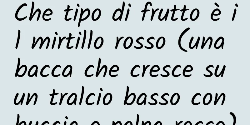 Che tipo di frutto è il mirtillo rosso (una bacca che cresce su un tralcio basso con buccia e polpa rosse)