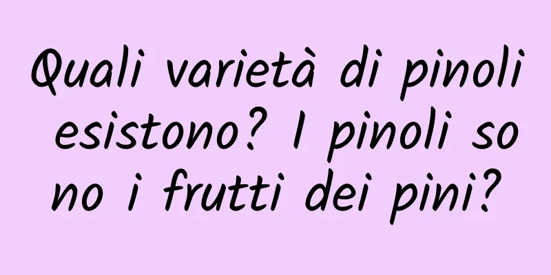 Quali varietà di pinoli esistono? I pinoli sono i frutti dei pini?