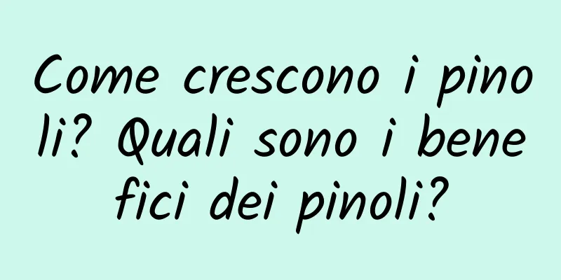 Come crescono i pinoli? Quali sono i benefici dei pinoli?