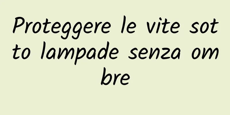 Proteggere le vite sotto lampade senza ombre