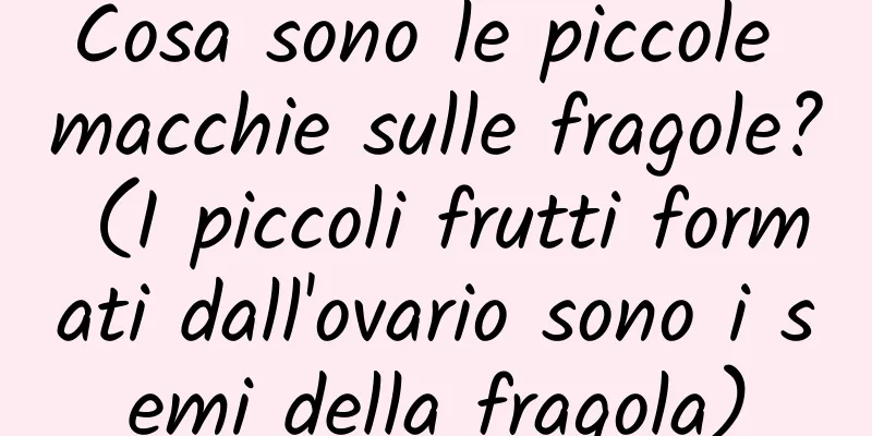 Cosa sono le piccole macchie sulle fragole? (I piccoli frutti formati dall'ovario sono i semi della fragola)