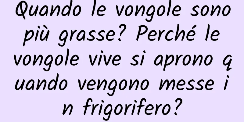 Quando le vongole sono più grasse? Perché le vongole vive si aprono quando vengono messe in frigorifero?