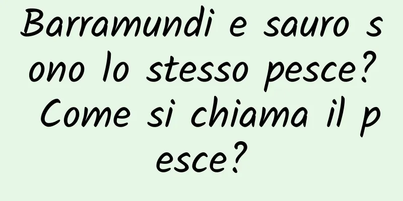Barramundi e sauro sono lo stesso pesce? Come si chiama il pesce?