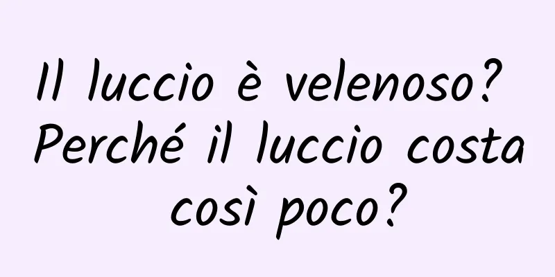 Il luccio è velenoso? Perché il luccio costa così poco?