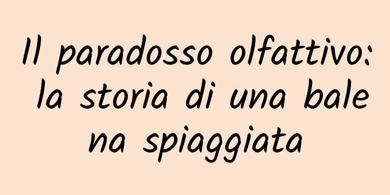 Il paradosso olfattivo: la storia di una balena spiaggiata
