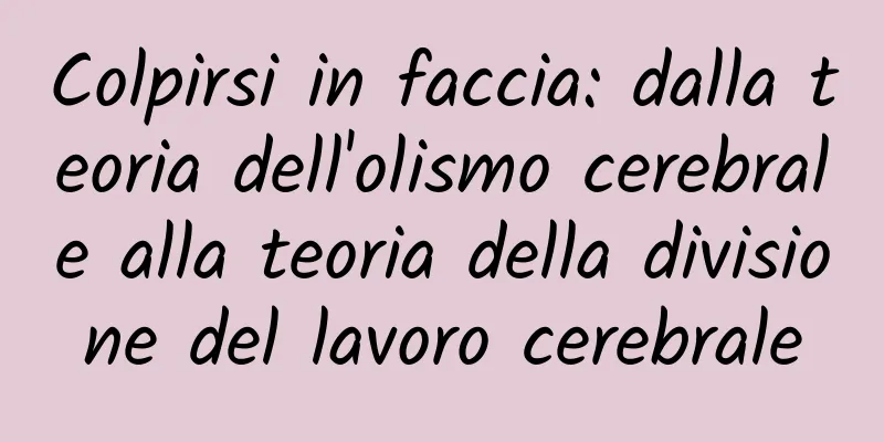 Colpirsi in faccia: dalla teoria dell'olismo cerebrale alla teoria della divisione del lavoro cerebrale
