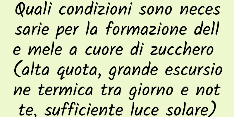 Quali condizioni sono necessarie per la formazione delle mele a cuore di zucchero (alta quota, grande escursione termica tra giorno e notte, sufficiente luce solare)