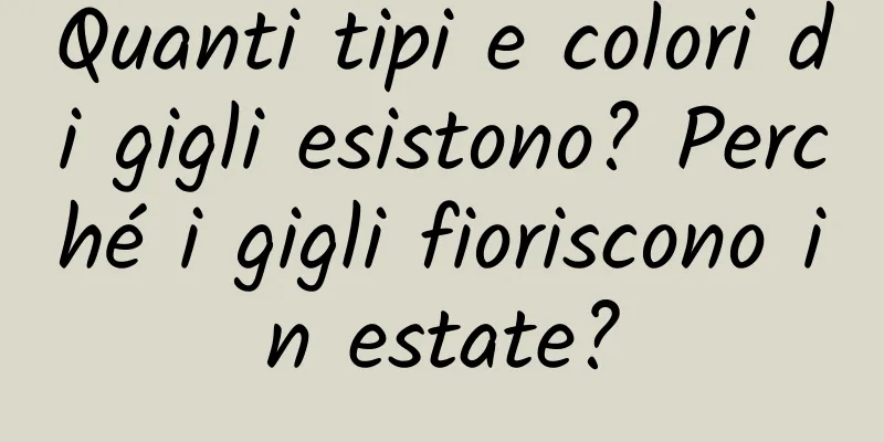 Quanti tipi e colori di gigli esistono? Perché i gigli fioriscono in estate?