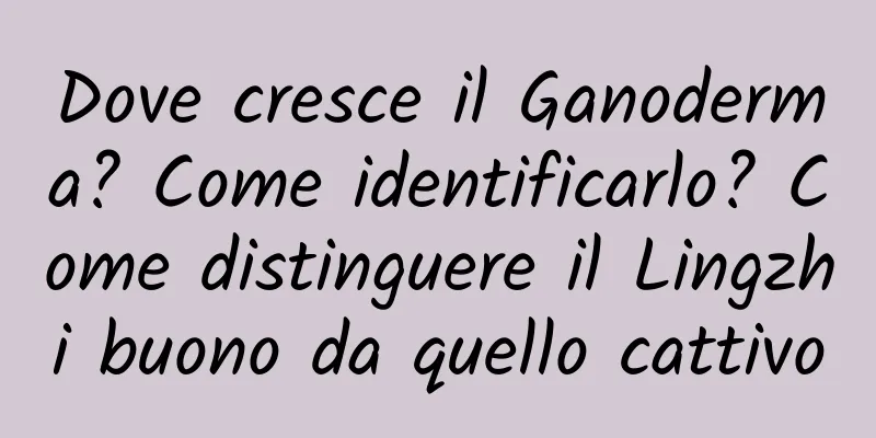 Dove cresce il Ganoderma? Come identificarlo? Come distinguere il Lingzhi buono da quello cattivo
