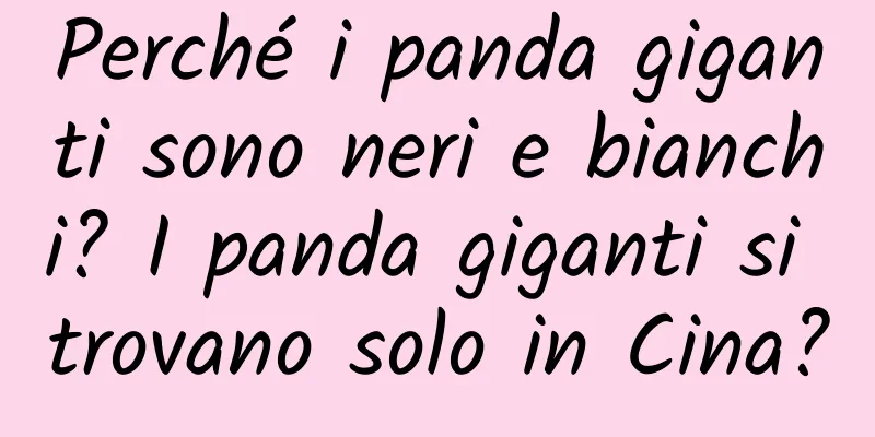 Perché i panda giganti sono neri e bianchi? I panda giganti si trovano solo in Cina?