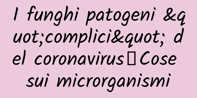 I funghi patogeni "complici" del coronavirus丨Cose sui microrganismi