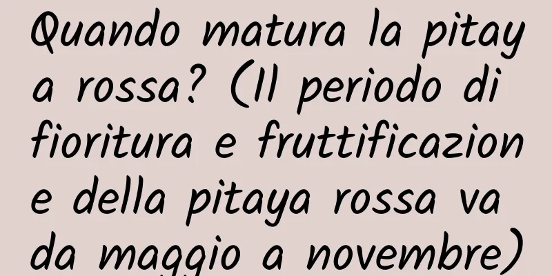 Quando matura la pitaya rossa? (Il periodo di fioritura e fruttificazione della pitaya rossa va da maggio a novembre)