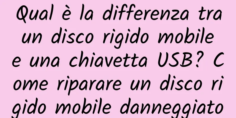 Qual è la differenza tra un disco rigido mobile e una chiavetta USB? Come riparare un disco rigido mobile danneggiato