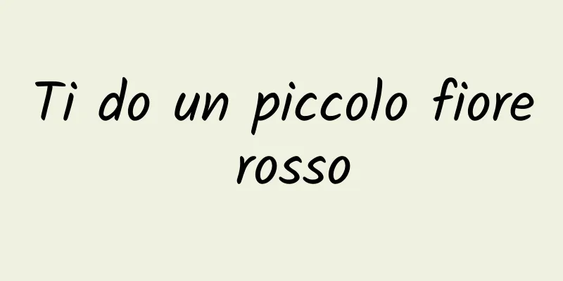 Ti do un piccolo fiore rosso