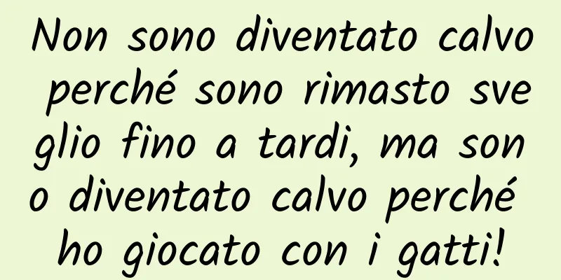 Non sono diventato calvo perché sono rimasto sveglio fino a tardi, ma sono diventato calvo perché ho giocato con i gatti!