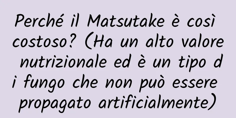 Perché il Matsutake è così costoso? (Ha un alto valore nutrizionale ed è un tipo di fungo che non può essere propagato artificialmente)