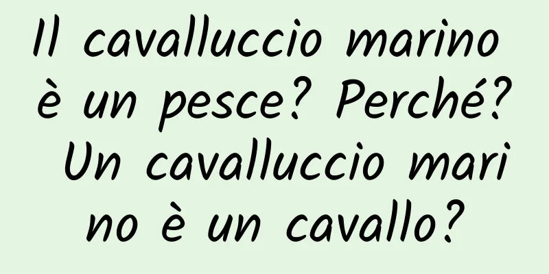 Il cavalluccio marino è un pesce? Perché? Un cavalluccio marino è un cavallo?