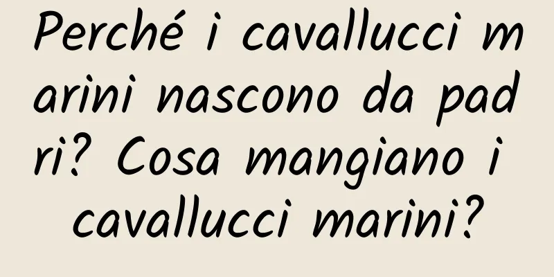 Perché i cavallucci marini nascono da padri? Cosa mangiano i cavallucci marini?