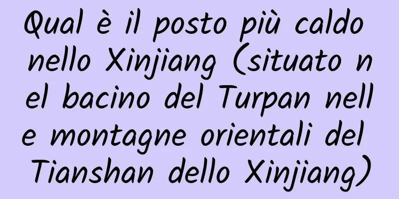 Qual è il posto più caldo nello Xinjiang (situato nel bacino del Turpan nelle montagne orientali del Tianshan dello Xinjiang)