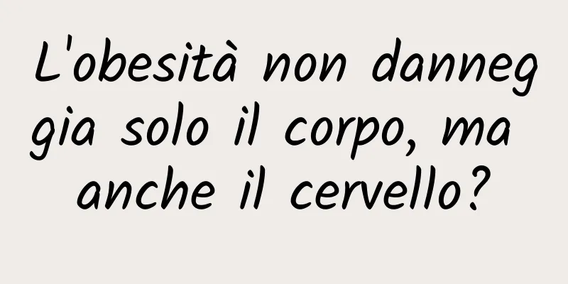 L'obesità non danneggia solo il corpo, ma anche il cervello?