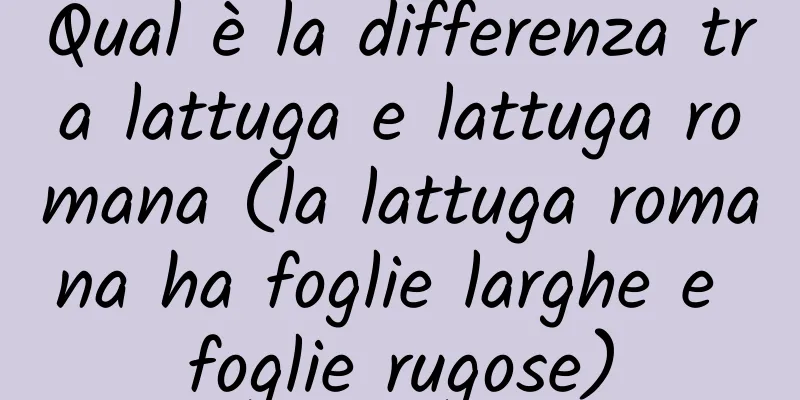 Qual è la differenza tra lattuga e lattuga romana (la lattuga romana ha foglie larghe e foglie rugose)