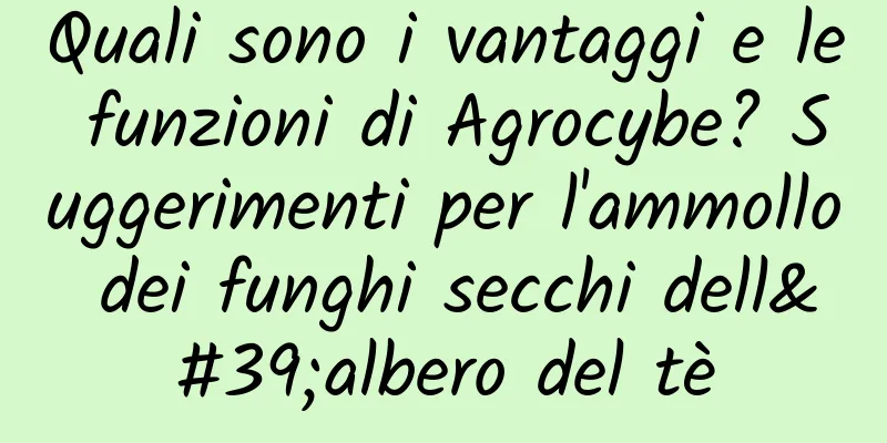 Quali sono i vantaggi e le funzioni di Agrocybe? Suggerimenti per l'ammollo dei funghi secchi dell'albero del tè