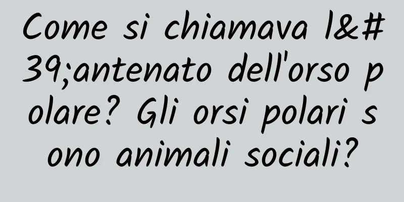 Come si chiamava l'antenato dell'orso polare? Gli orsi polari sono animali sociali?