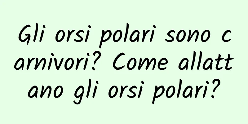 Gli orsi polari sono carnivori? Come allattano gli orsi polari?