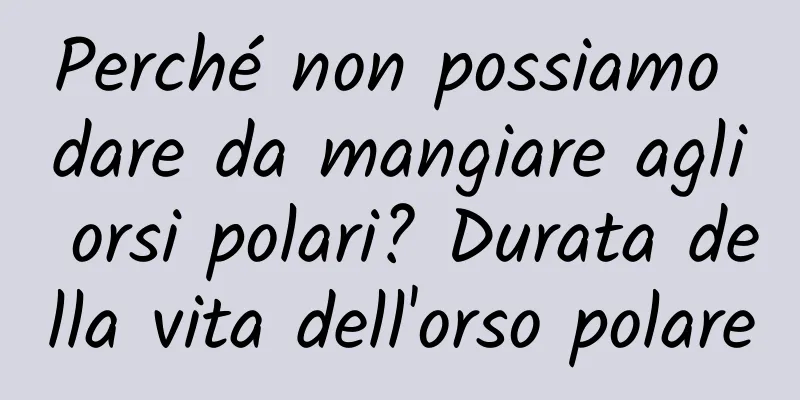 Perché non possiamo dare da mangiare agli orsi polari? Durata della vita dell'orso polare