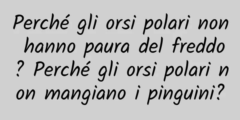 Perché gli orsi polari non hanno paura del freddo? Perché gli orsi polari non mangiano i pinguini?