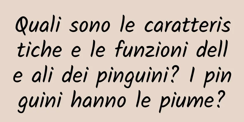 Quali sono le caratteristiche e le funzioni delle ali dei pinguini? I pinguini hanno le piume?