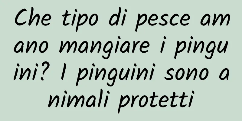 Che tipo di pesce amano mangiare i pinguini? I pinguini sono animali protetti