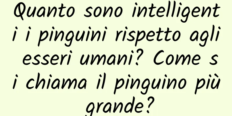 Quanto sono intelligenti i pinguini rispetto agli esseri umani? Come si chiama il pinguino più grande?