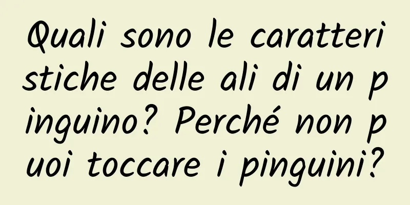 Quali sono le caratteristiche delle ali di un pinguino? Perché non puoi toccare i pinguini?