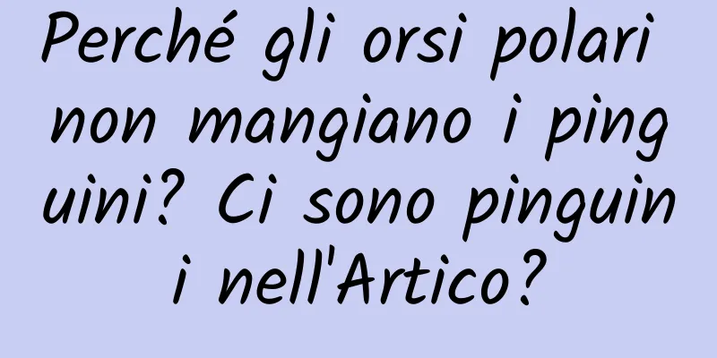 Perché gli orsi polari non mangiano i pinguini? Ci sono pinguini nell'Artico?