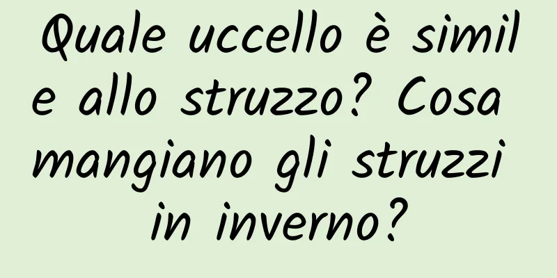 Quale uccello è simile allo struzzo? Cosa mangiano gli struzzi in inverno?