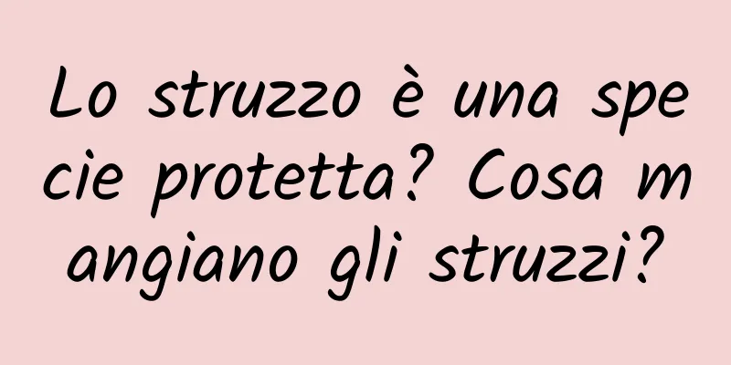 Lo struzzo è una specie protetta? Cosa mangiano gli struzzi?