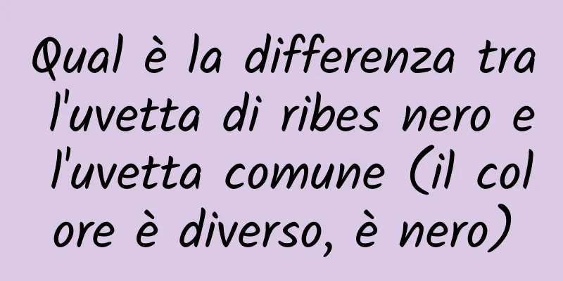 Qual è la differenza tra l'uvetta di ribes nero e l'uvetta comune (il colore è diverso, è nero)