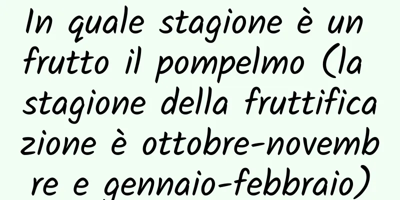 In quale stagione è un frutto il pompelmo (la stagione della fruttificazione è ottobre-novembre e gennaio-febbraio)