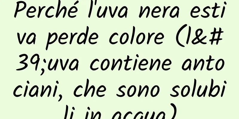 Perché l'uva nera estiva perde colore (l'uva contiene antociani, che sono solubili in acqua)
