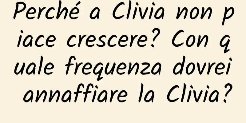 Perché a Clivia non piace crescere? Con quale frequenza dovrei annaffiare la Clivia?