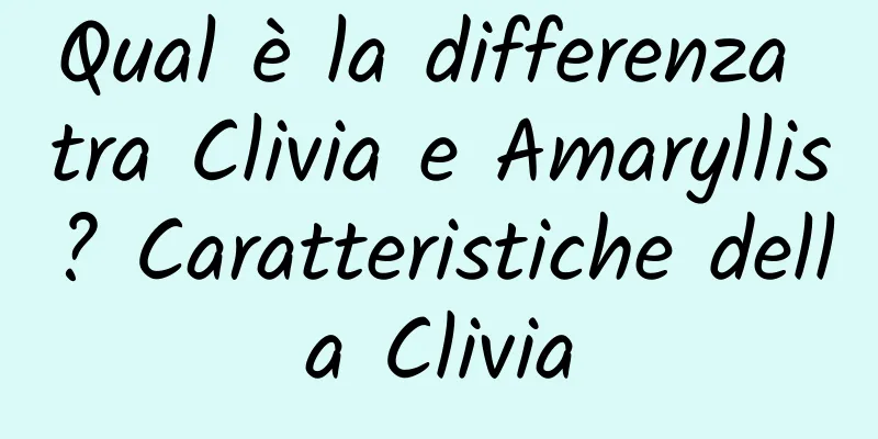 Qual è la differenza tra Clivia e Amaryllis? Caratteristiche della Clivia